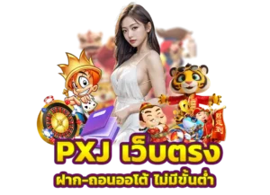 Read more about the article pxj