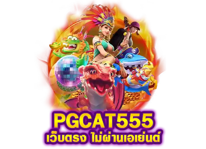 pgcat555 ทางเข้า พีจีcat555