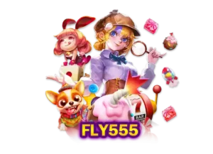 Read more about the article fly555
